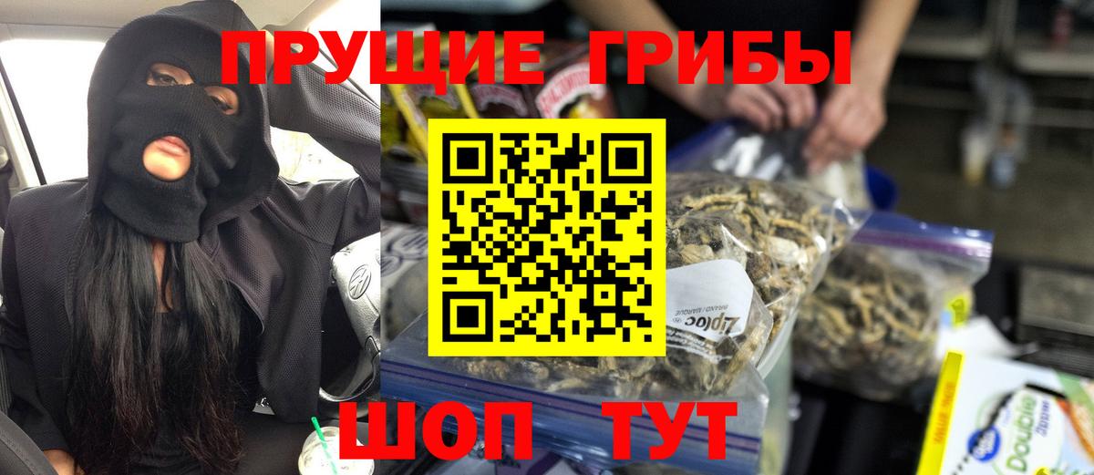 Псилоцибиновые грибы Cubensis Ижевск